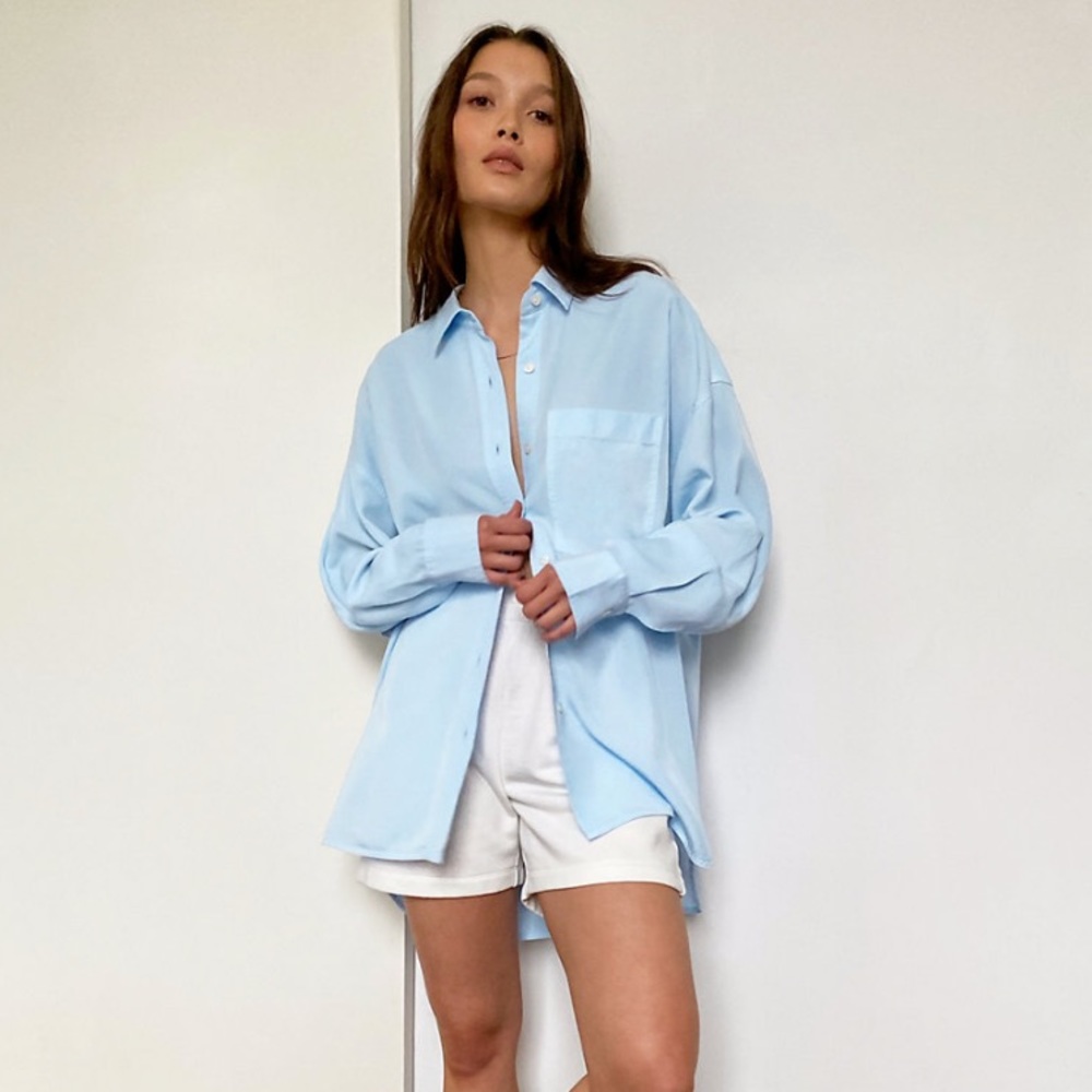 Aritzia Babaton baby blue button-up